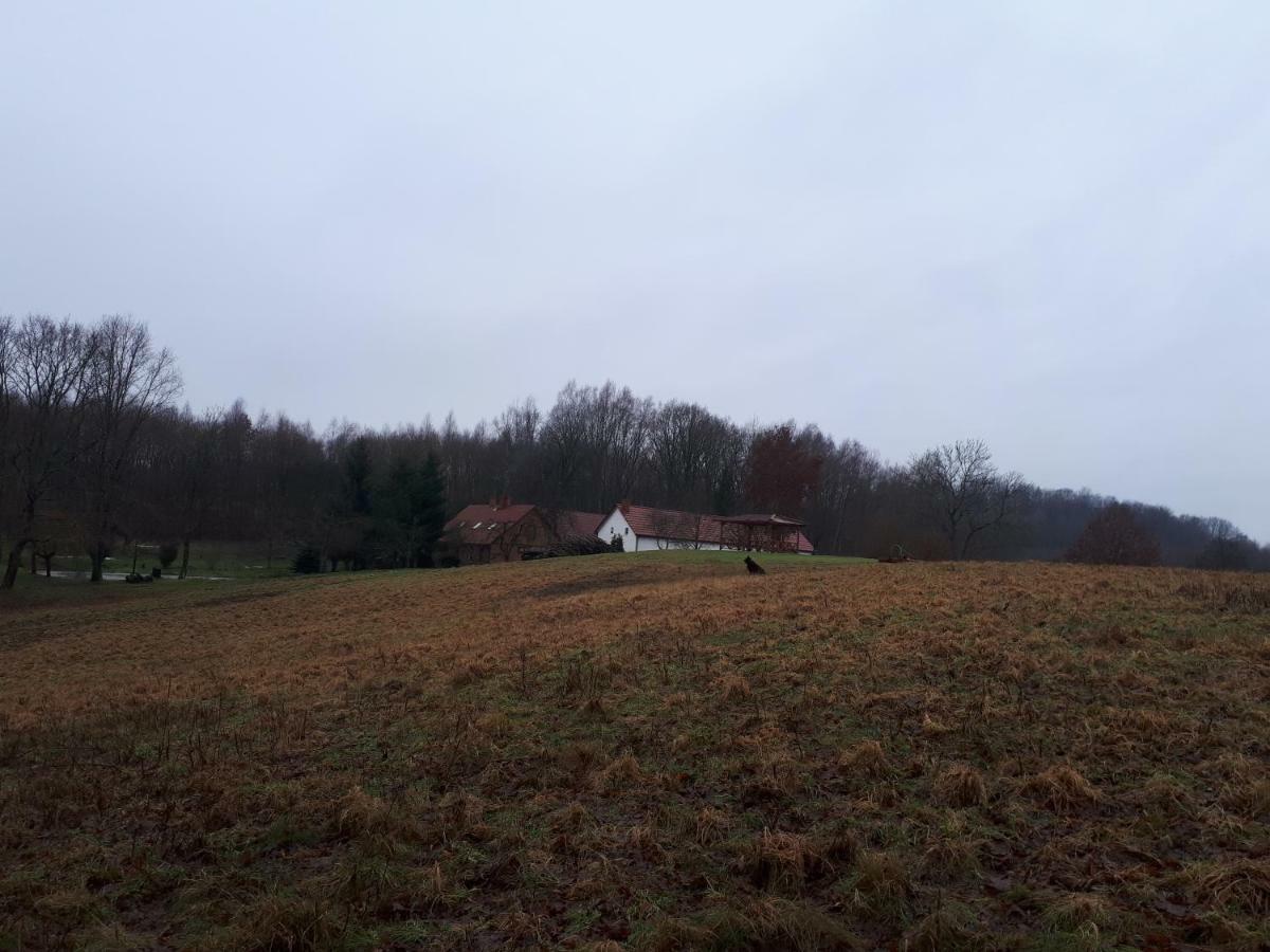 Farm stay Labadkowo *