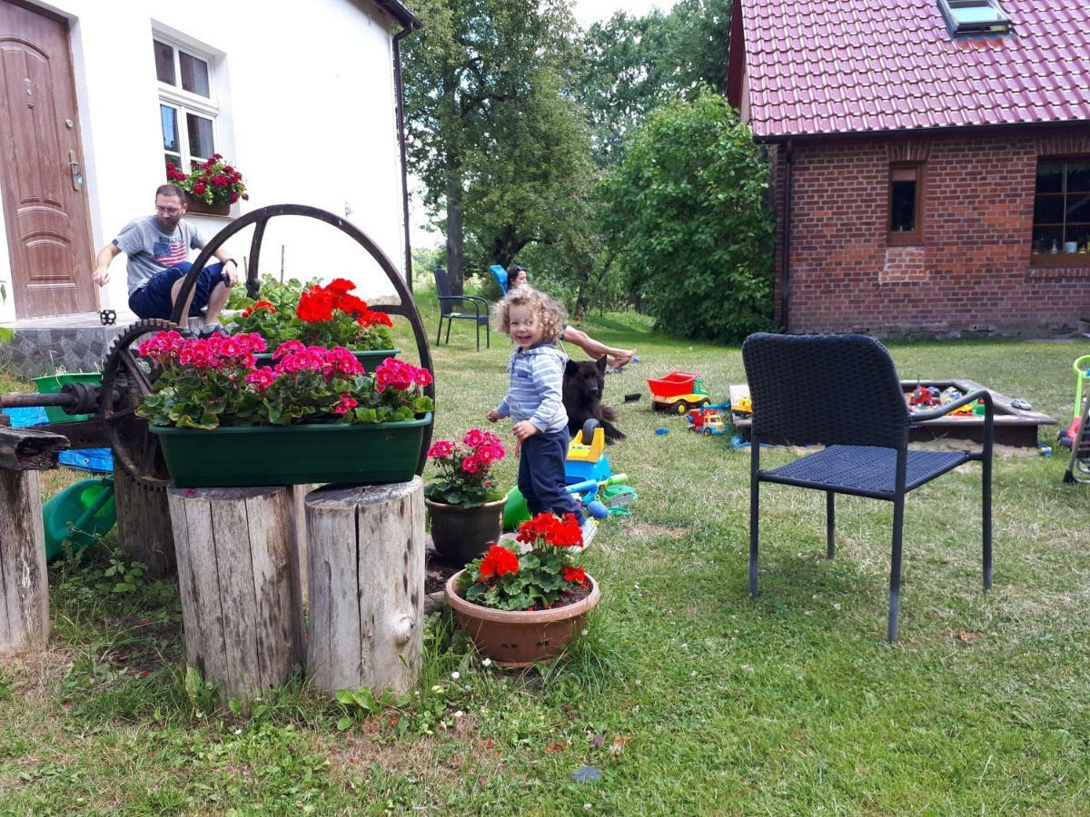 łabądkowo Labedzie