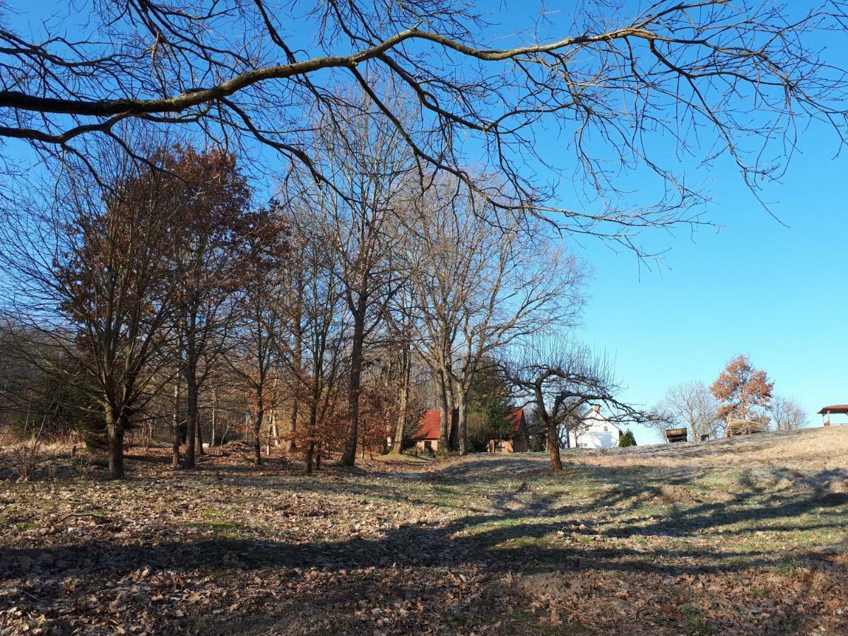 Labadkowo Farm stay
